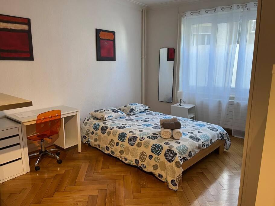 Down Town Studio Διαμέρισμα Λωζάνη Εξωτερικό φωτογραφία